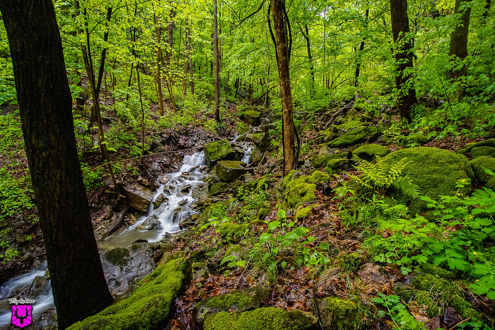 7c17f6fd-2bc7-487e-91e7-1b67356dde58.jpg