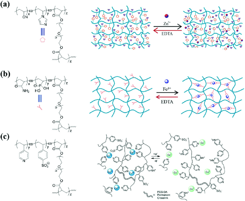 a-Chemical-structure-of-a-supramolecular-hydrogel-and-a-schematic-illustration.png