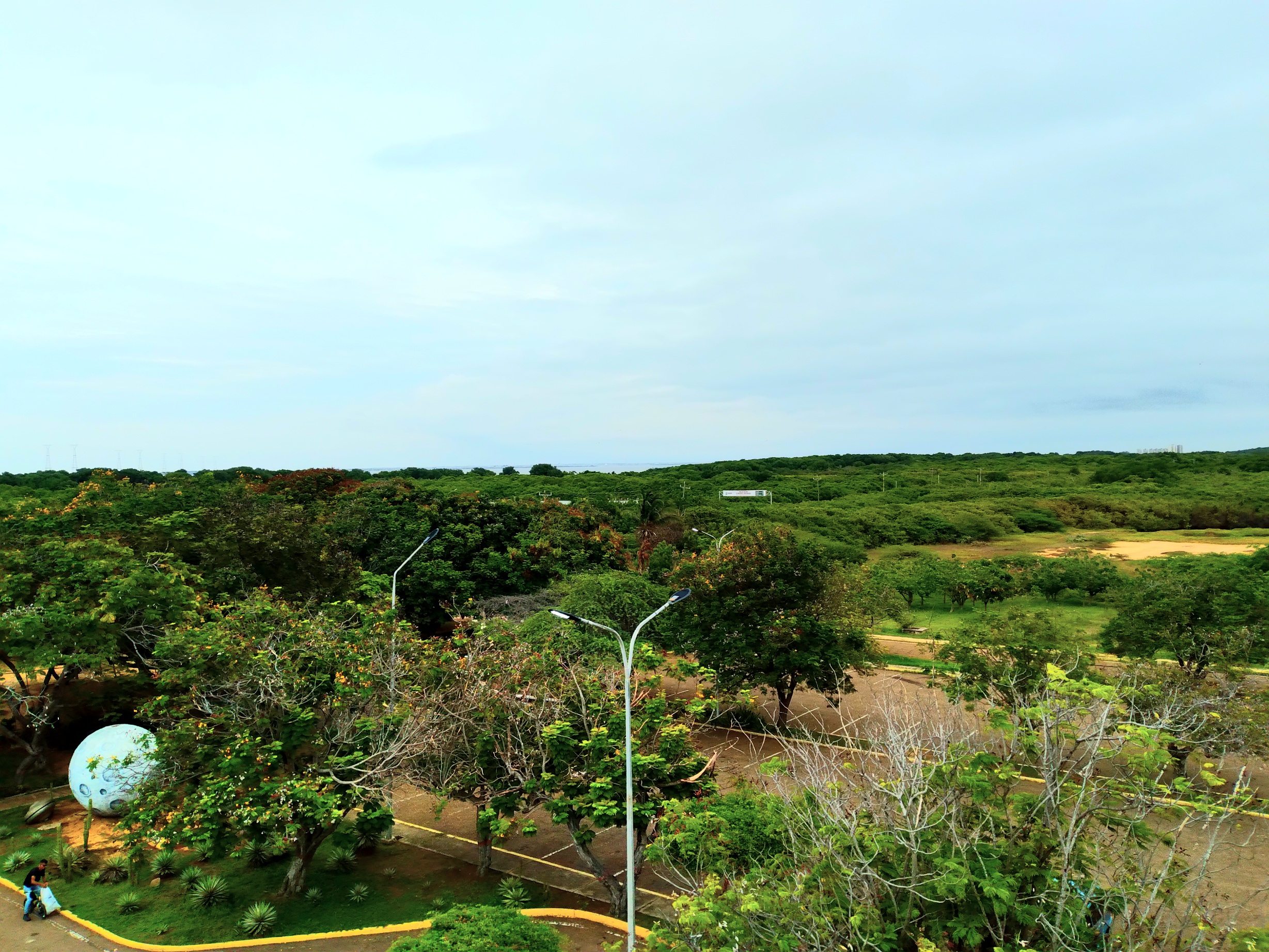 20250426_101220.jpg
