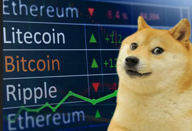 dogememe.png