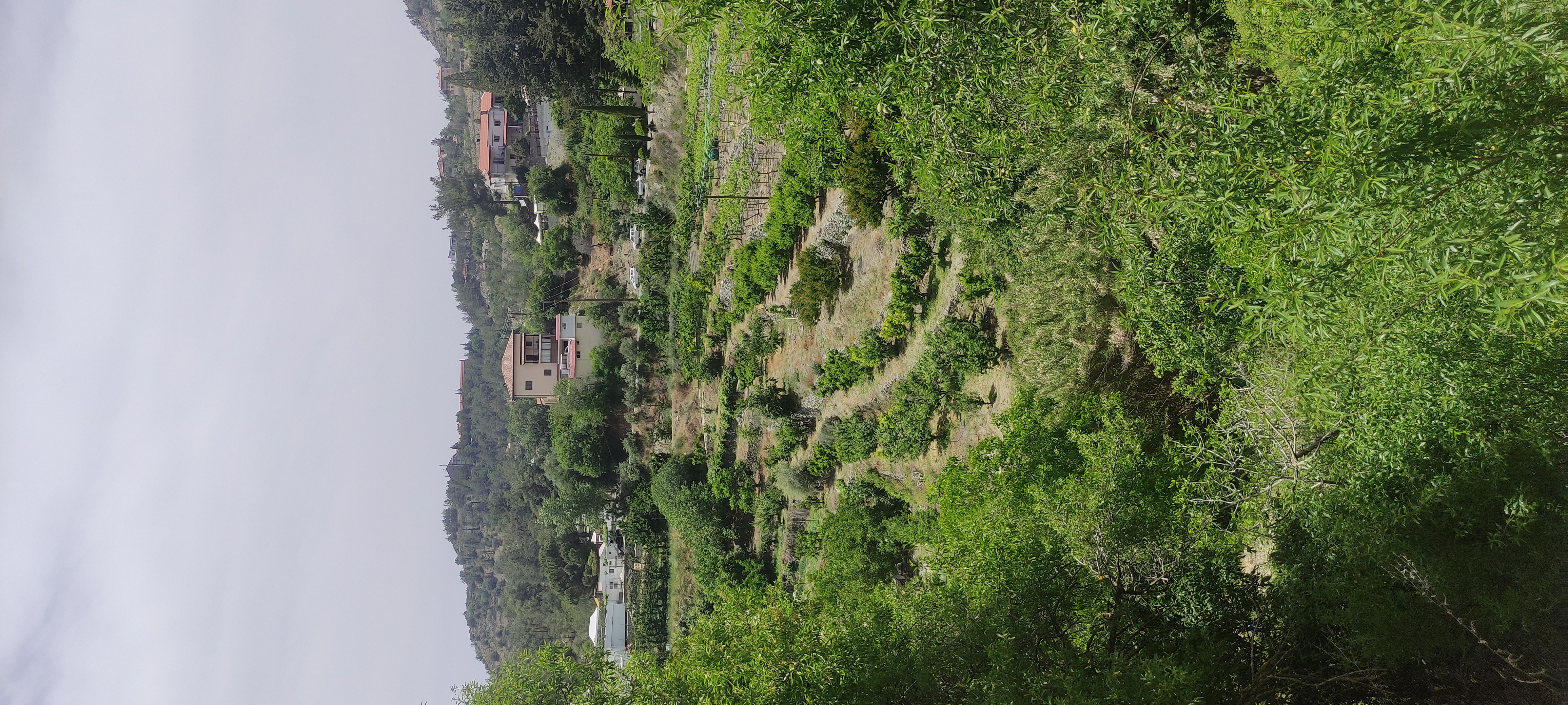 IMG_20250516_122508.jpg