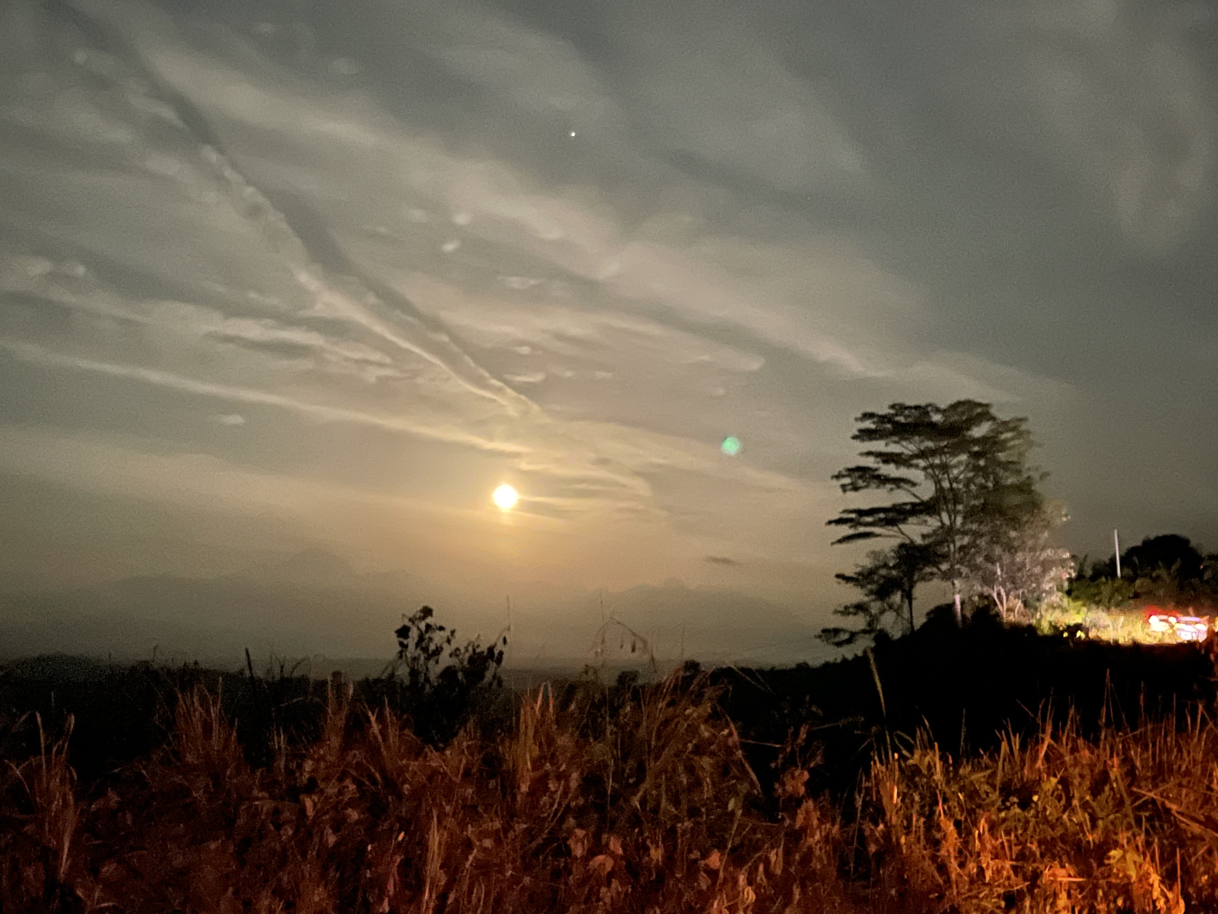 AA9B895F-738F-484C-A0C1-DBA8006DC6CE.jpeg