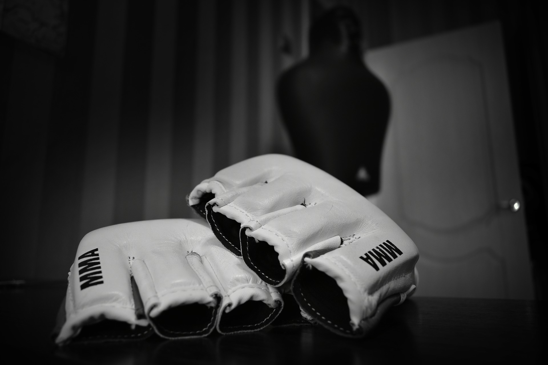 Gloves in a fight.jpg