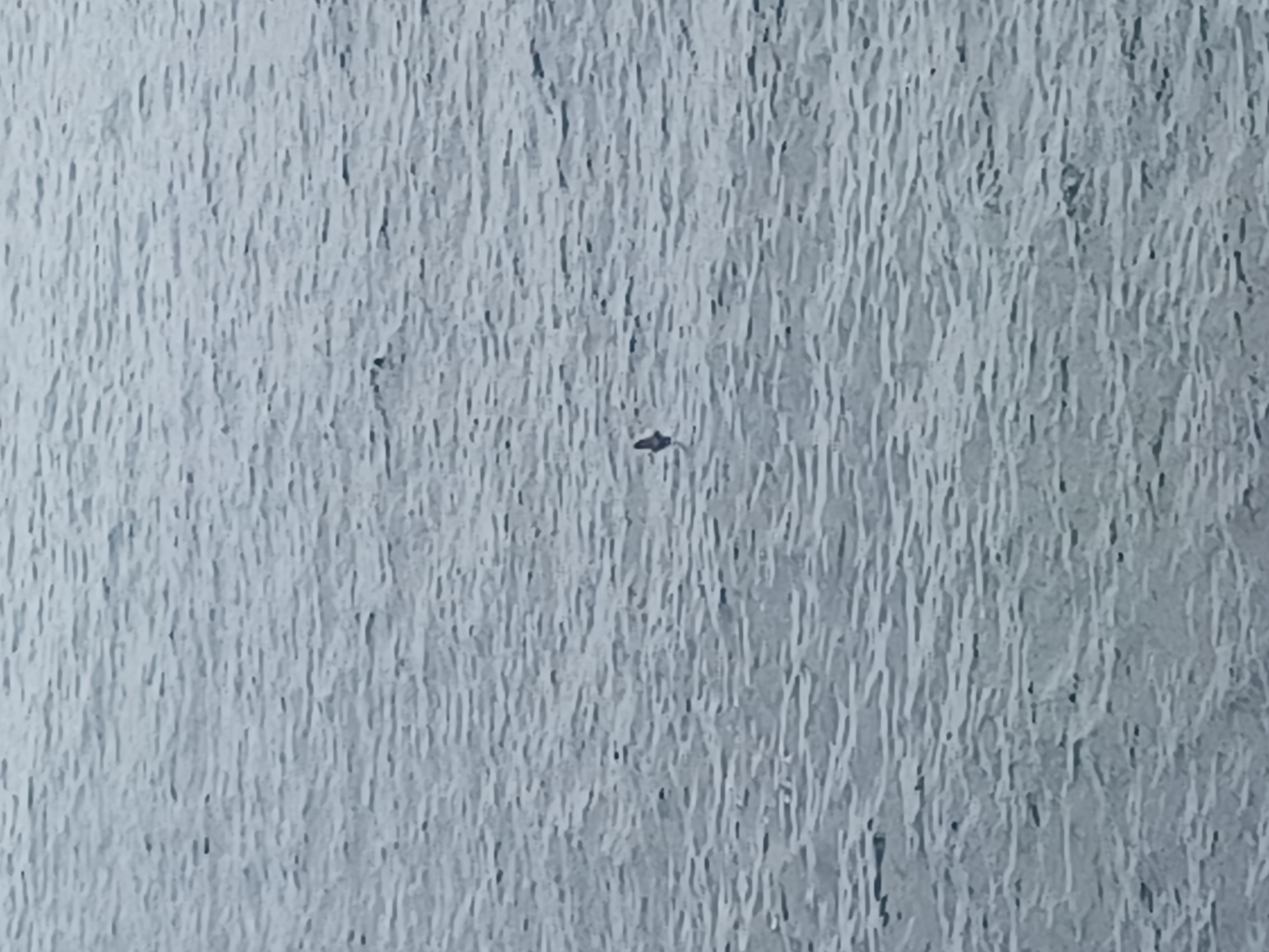 20250820_151124.jpg
