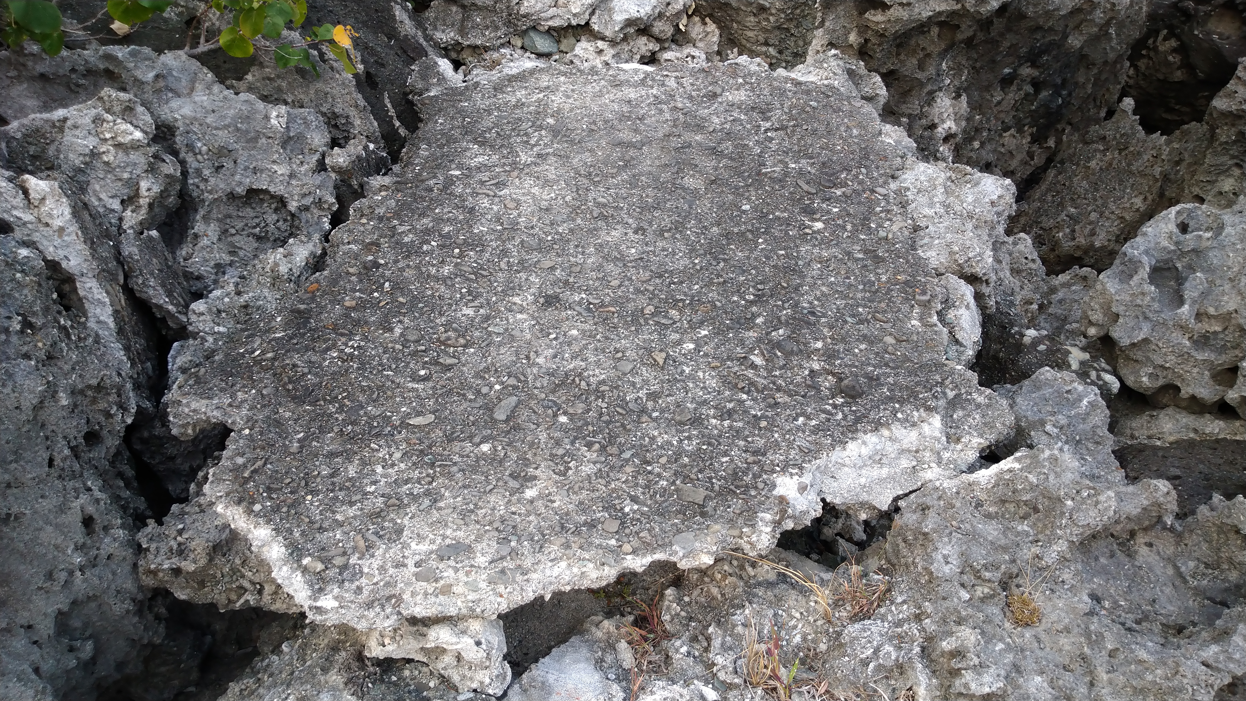 DSC_8024.JPG