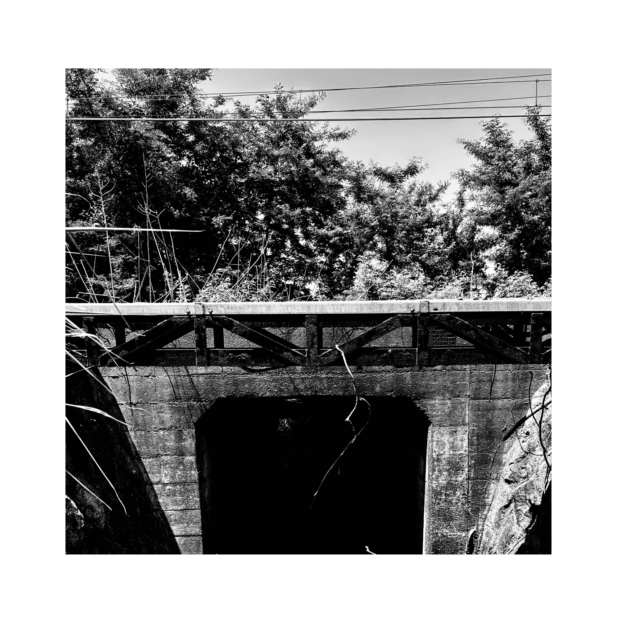 Untitled - July 7, 2025 15.50.45.jpeg
