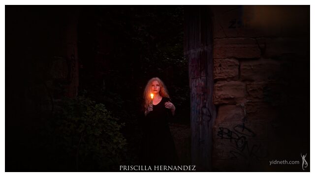 the_lingering_light (7) -640- by Priscilla Hernandez.jpg