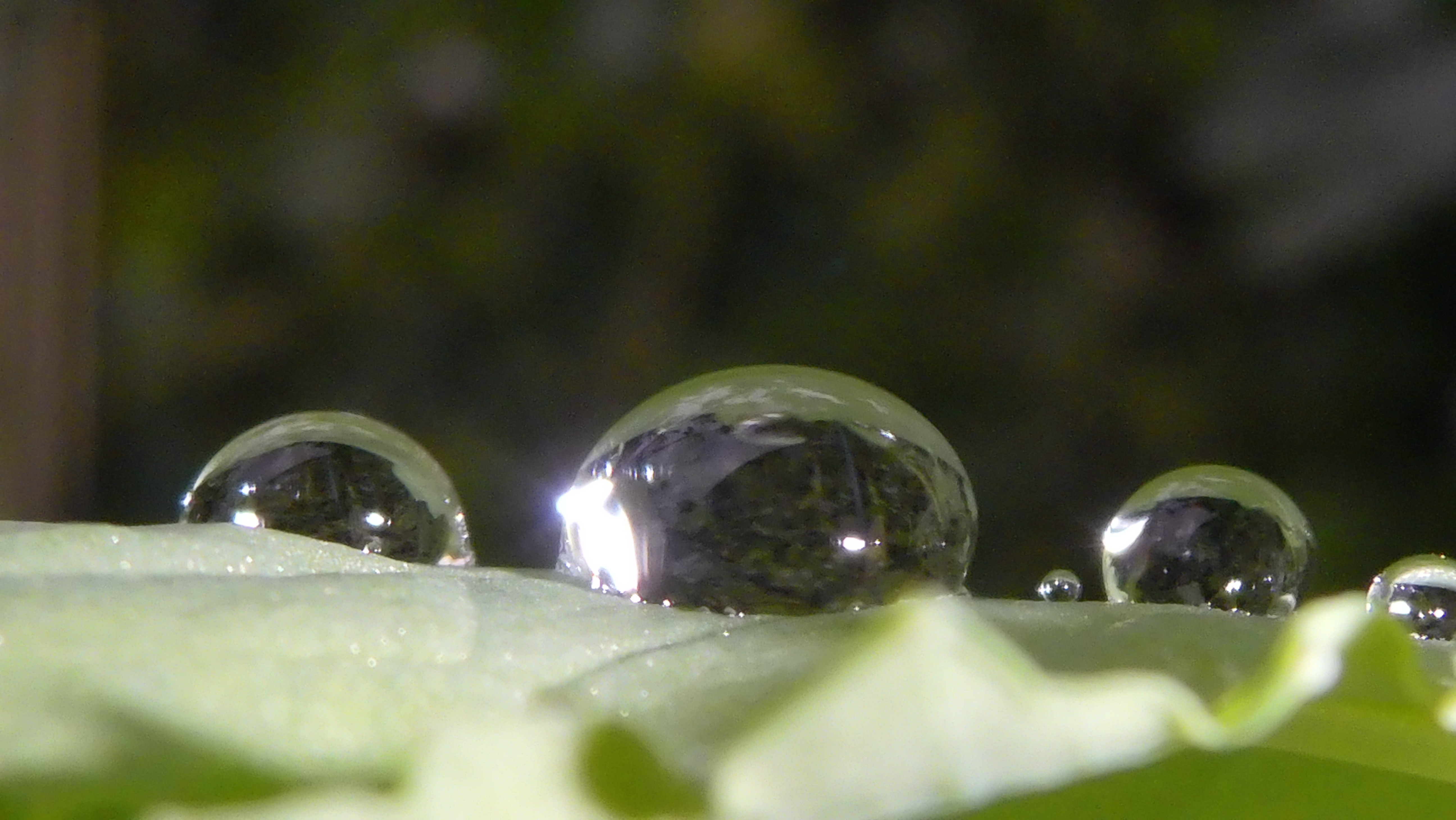 Waters-Droplets-Drops-Wet-Publicdomain (62).JPG