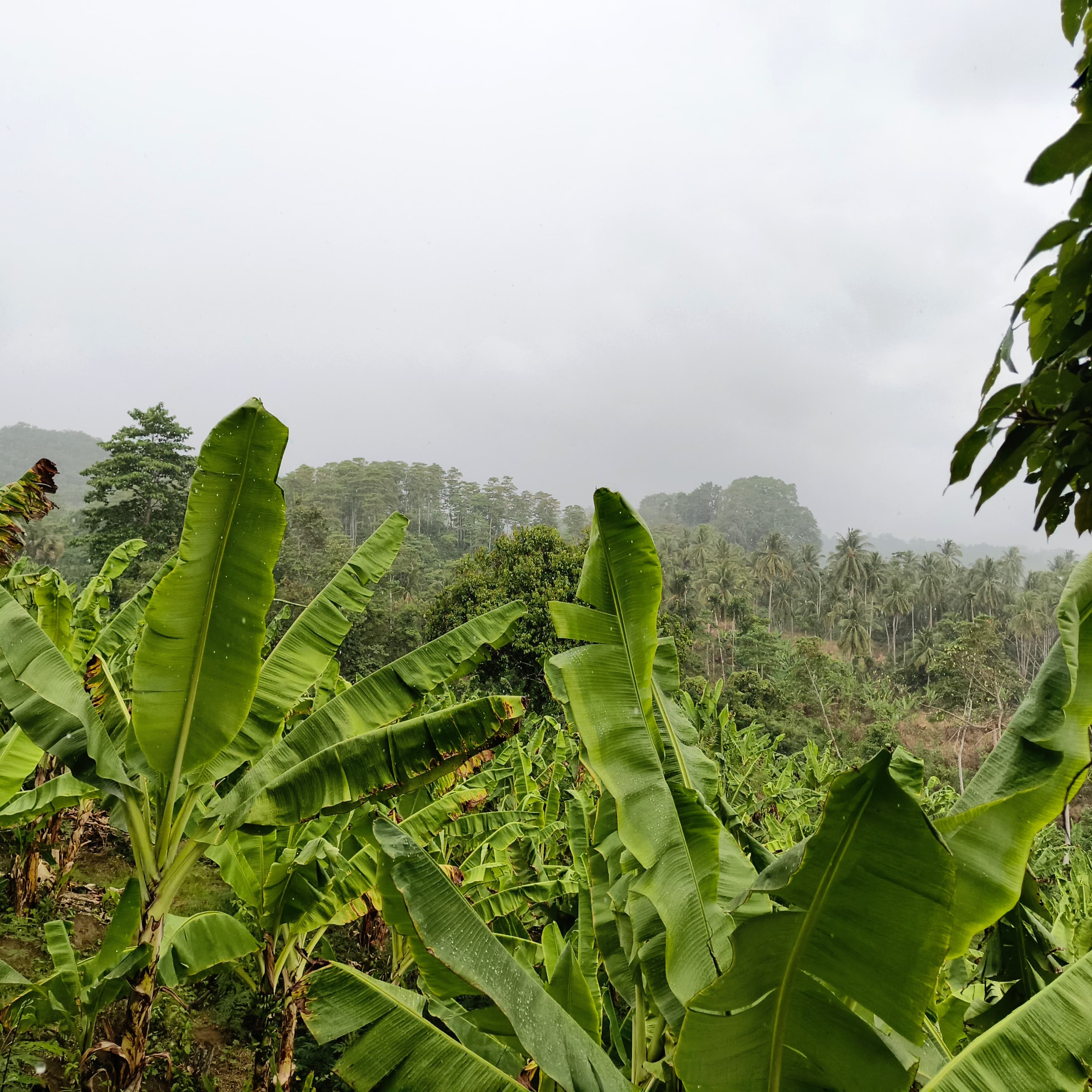 IMG-20250809-WA0016.jpg