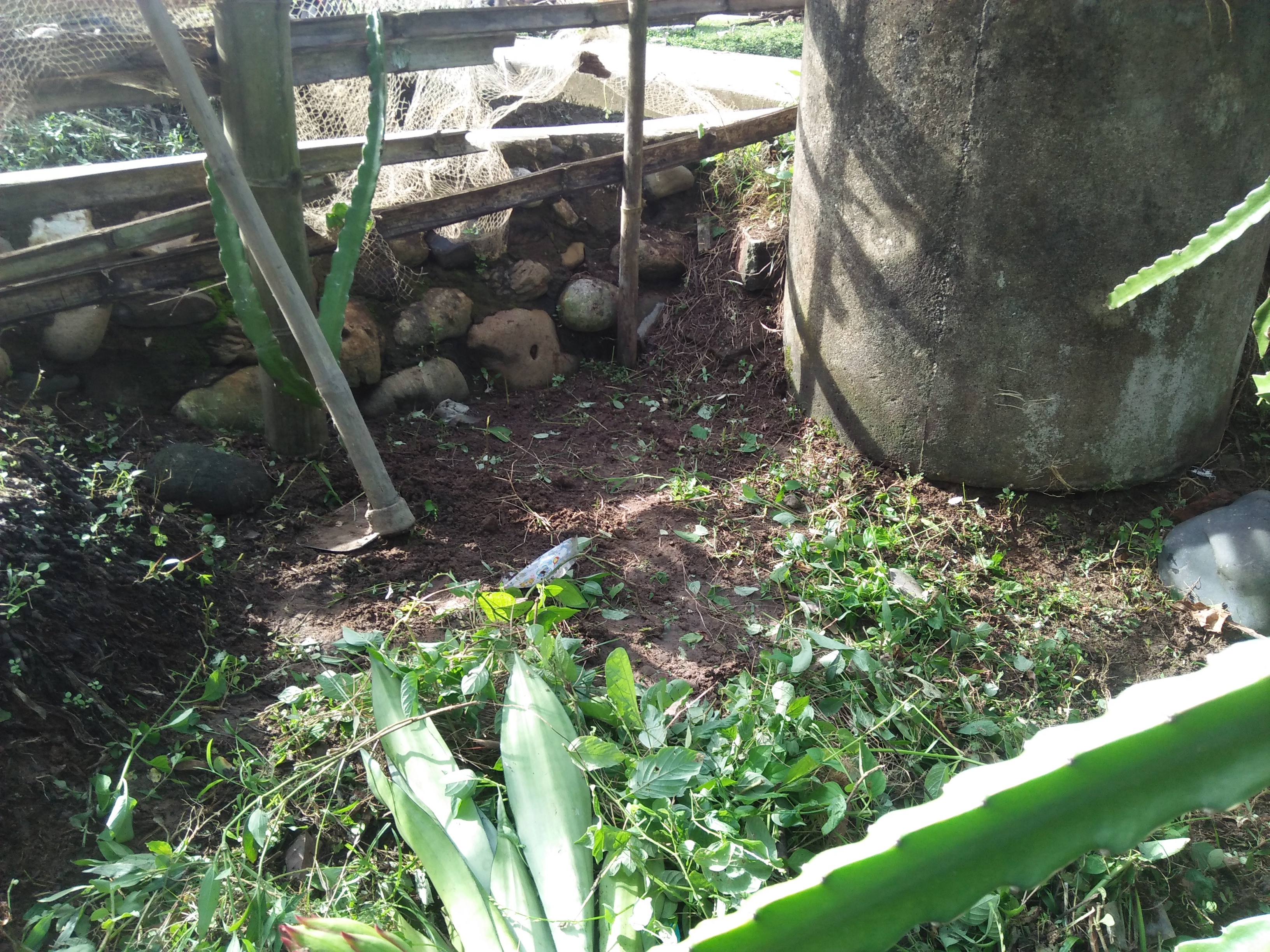 IMG20250129155535.jpg