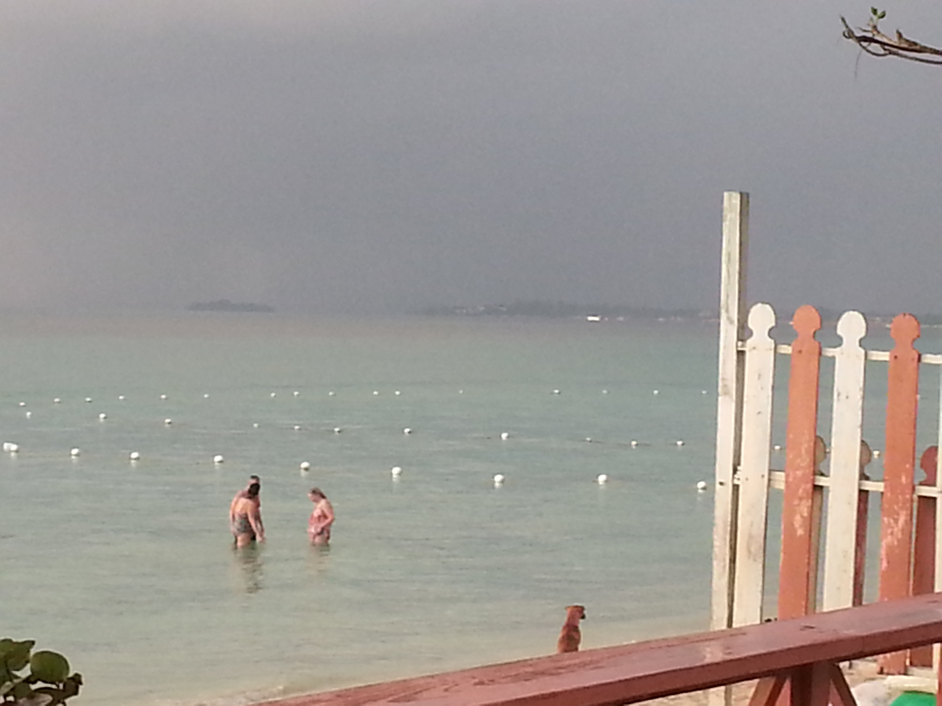 20150323_174204.jpg