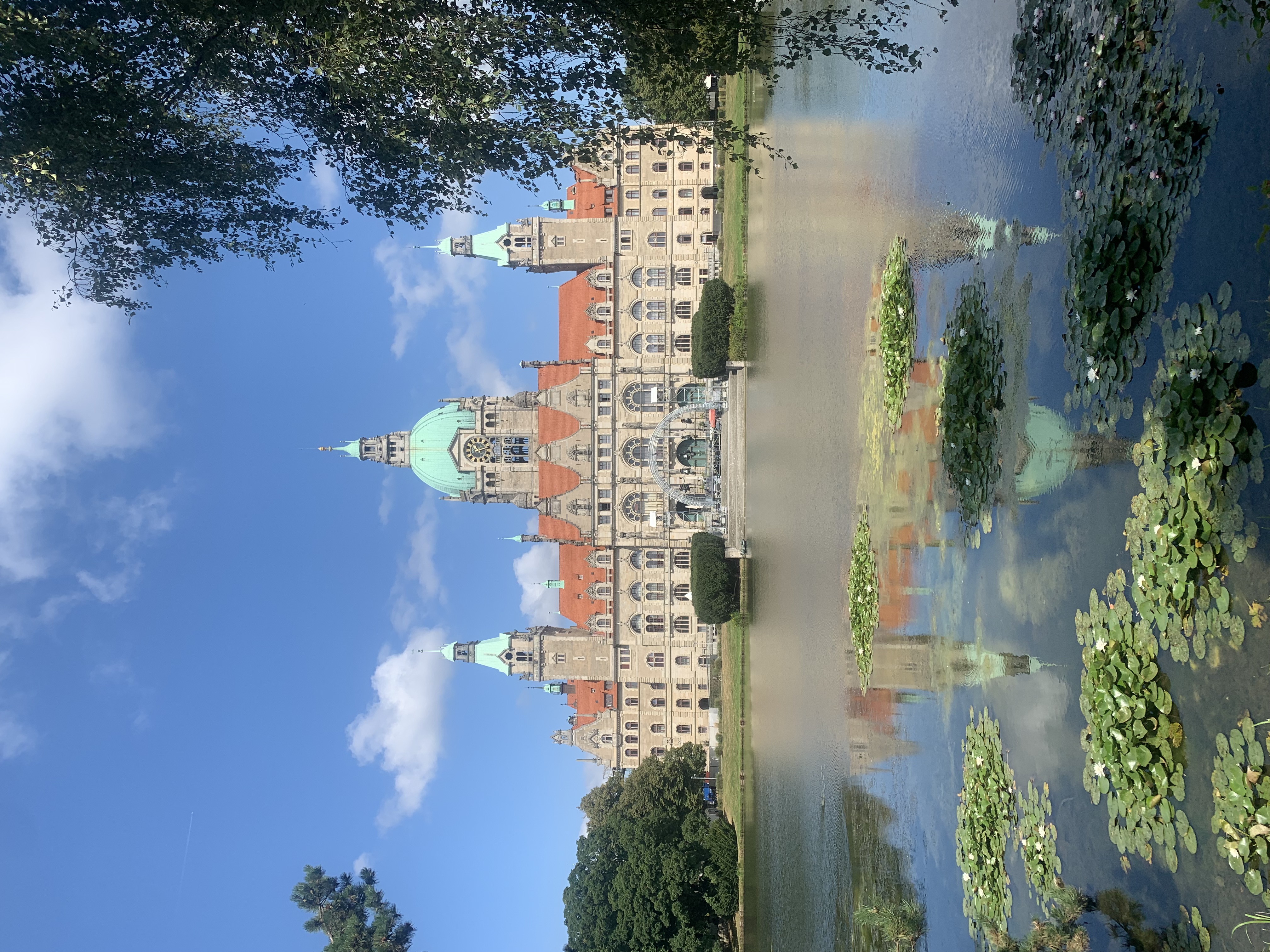 IMG_2185.jpeg