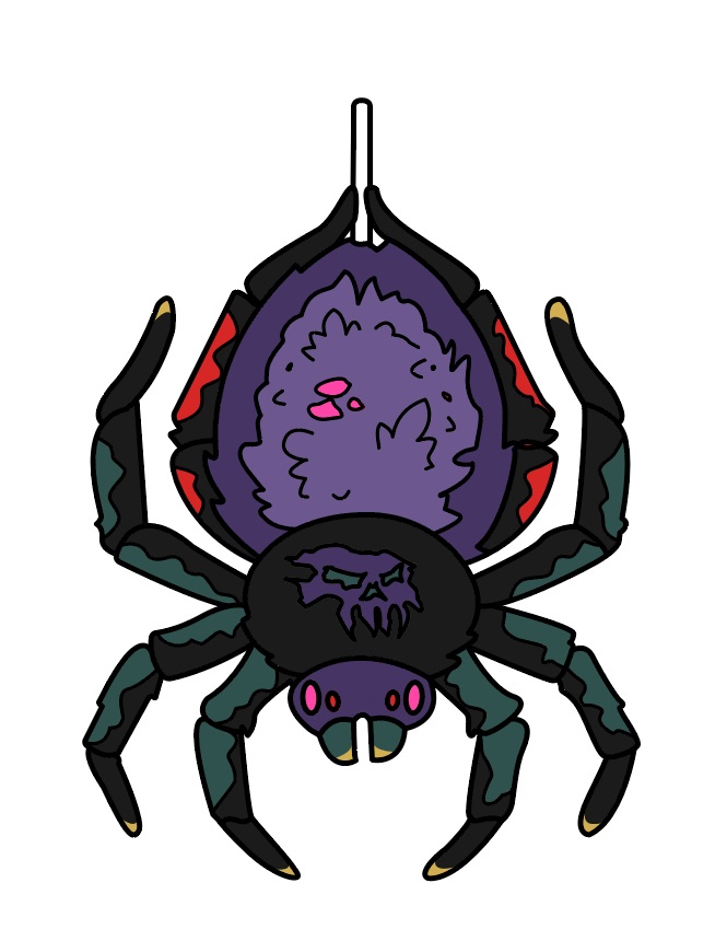 spider 2.jpg