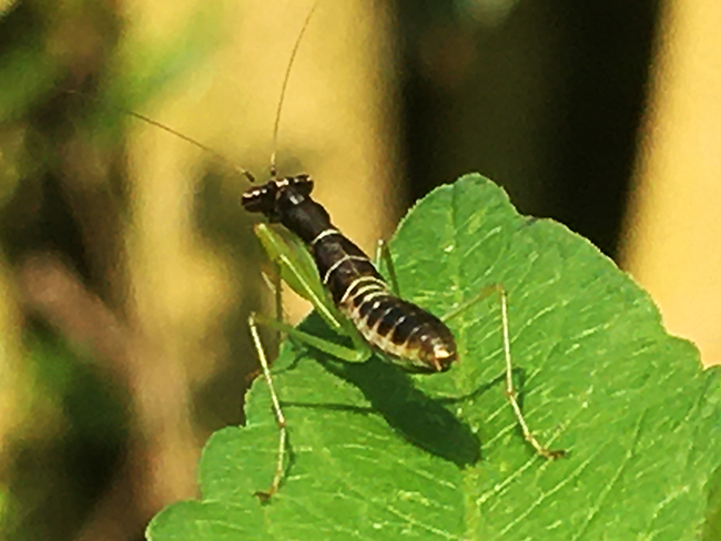 IMG_7914a.png