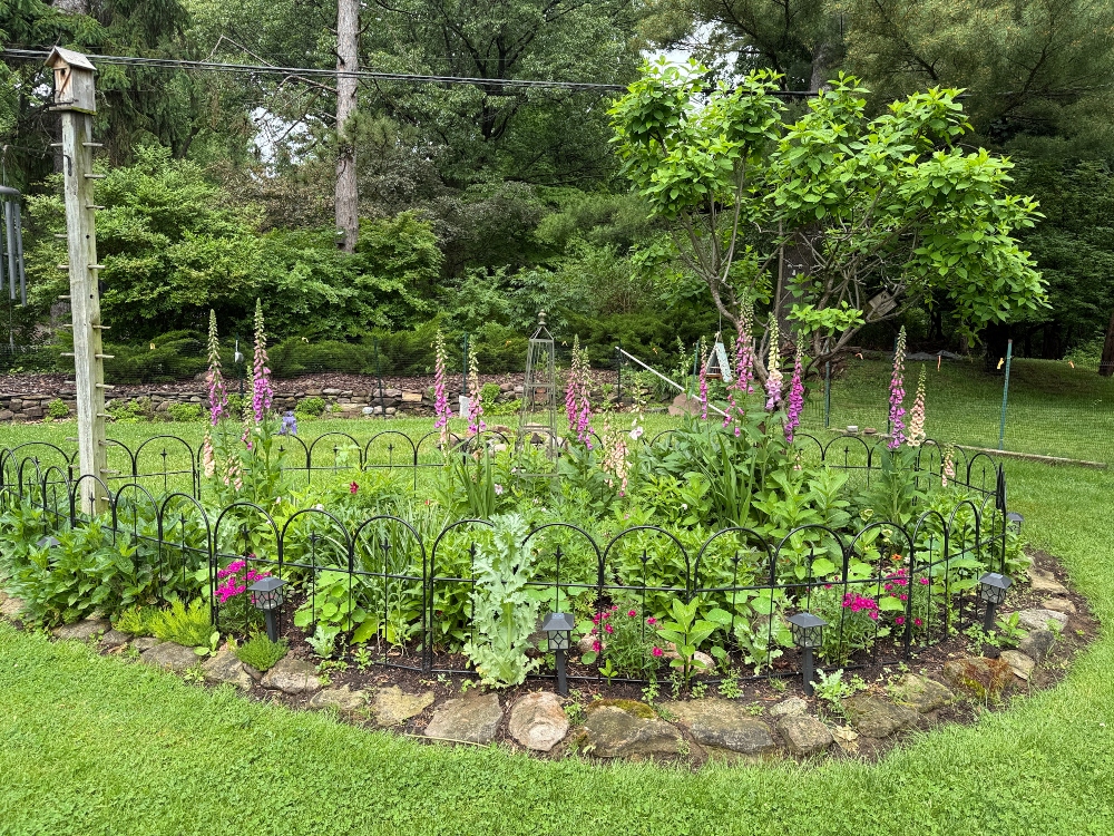 hivegarden-flower-4.jpg
