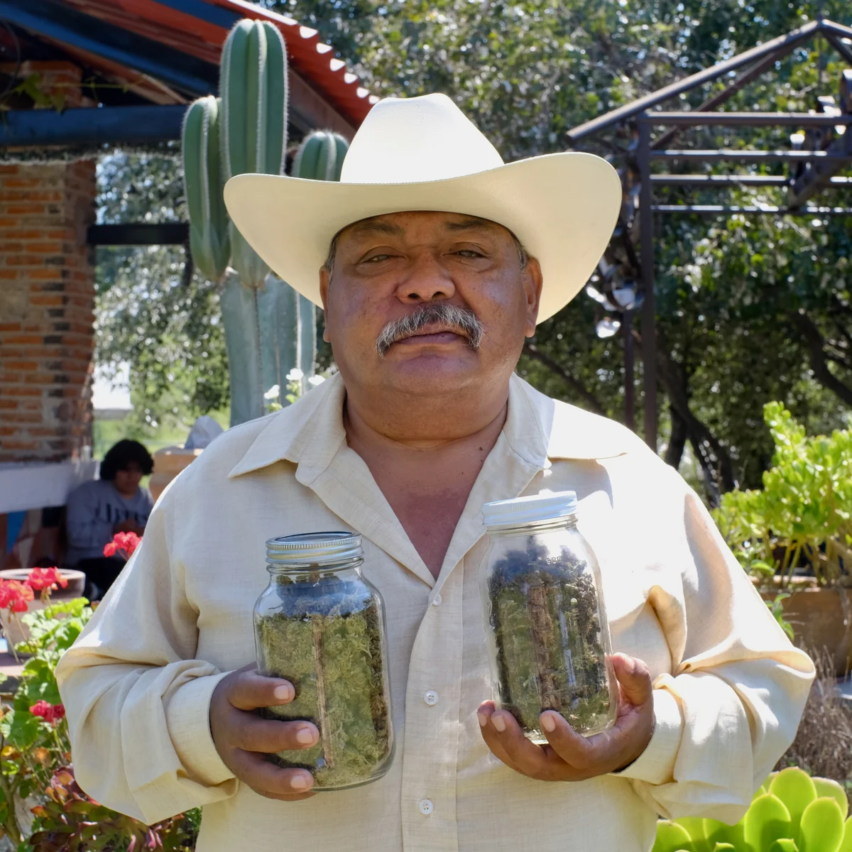 mexican weed.jpg