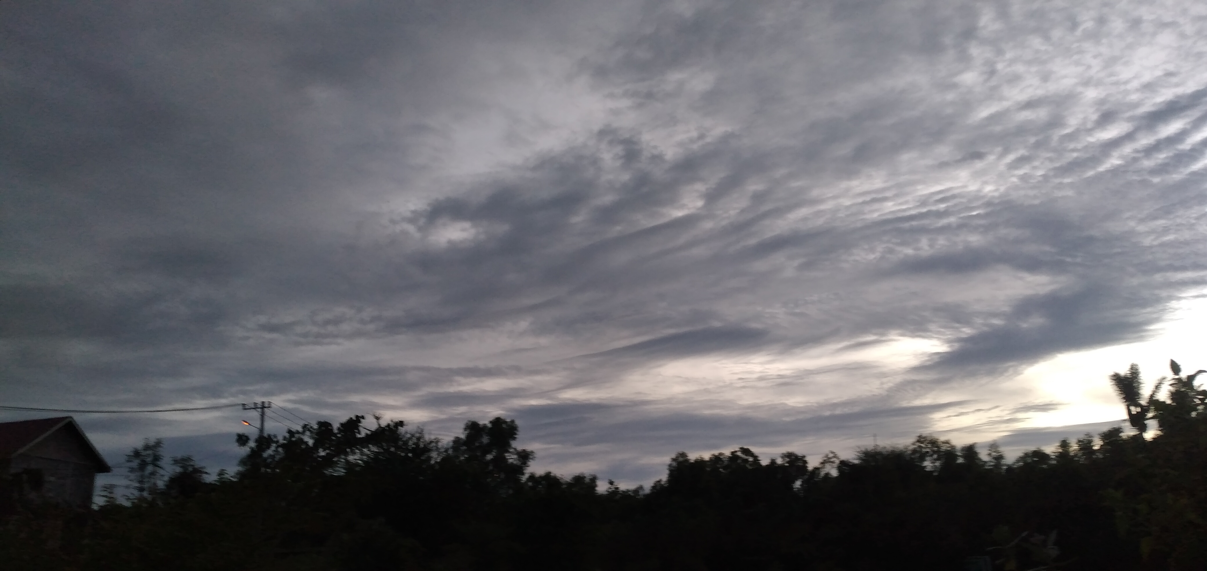 20230123_184237.jpg