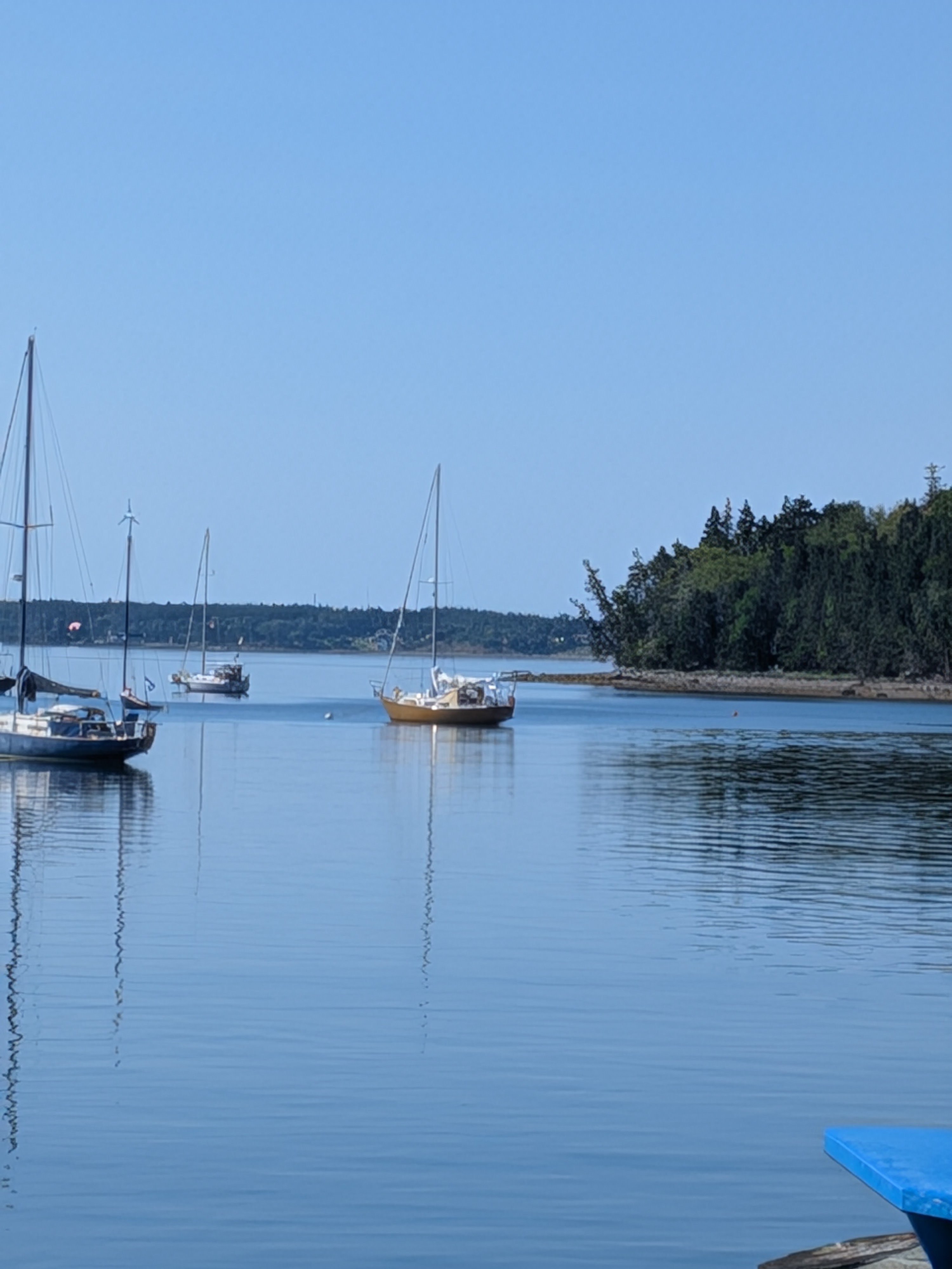 makina-at-lunenburg-mooring.jpg