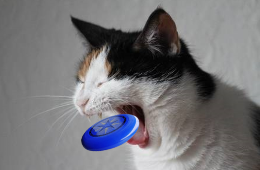 55FE6B07-A5DF-4CF6-8502-23EA2E983748.png