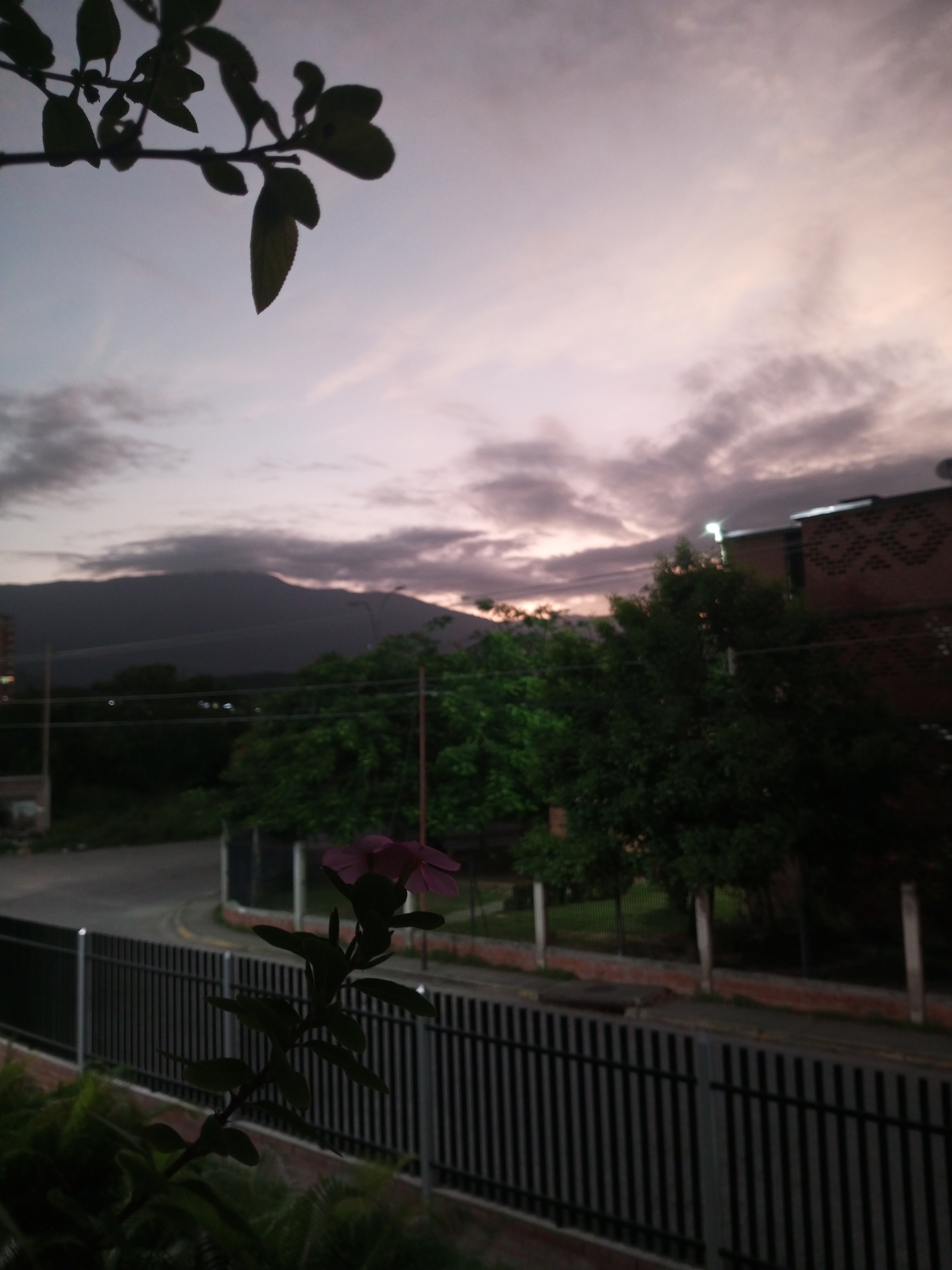 IMG_20250731_055258_817.jpg