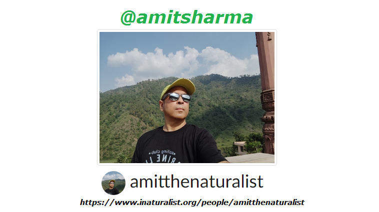 Inaturalist.png