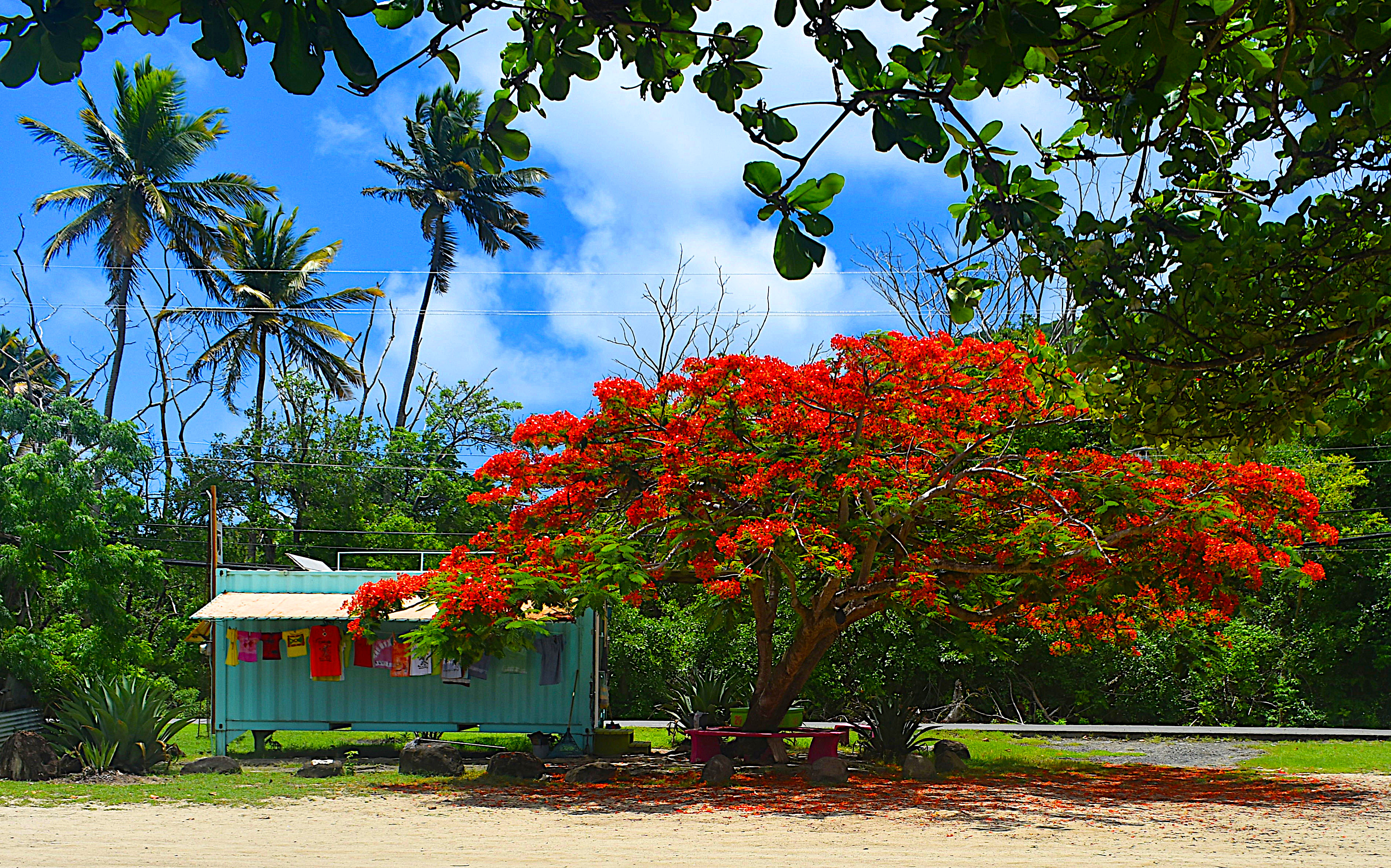 Carriacou island, Before the Storm 🇬🇧 - 🇨🇵️ - 🇪🇸