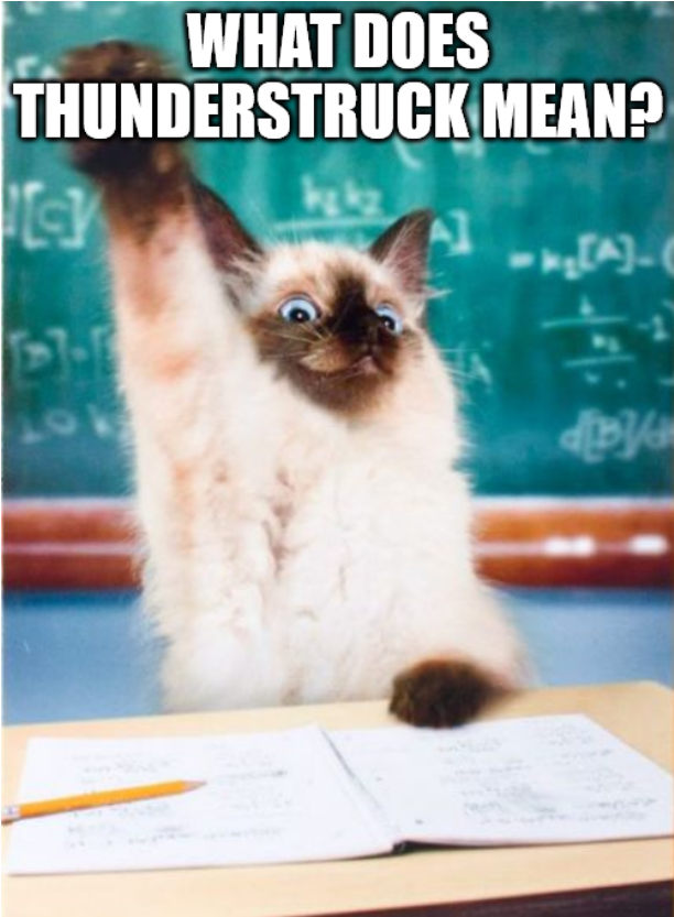 Screenshot 2022-02-05 at 17-43-21 Overeager Student Cat Meme Generator - Imgflip.png