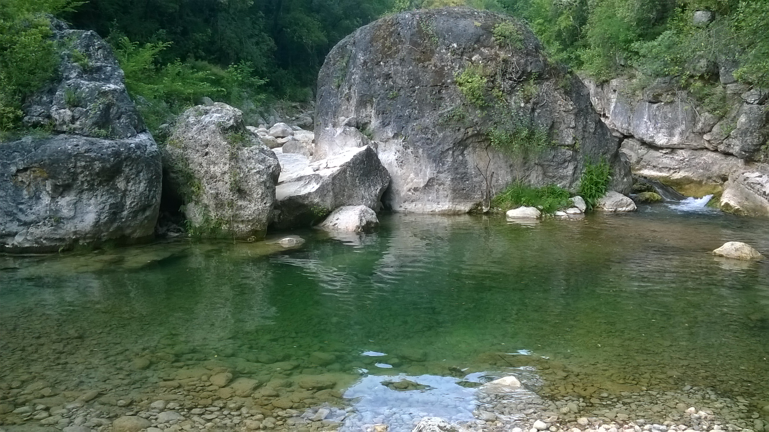 Lac Draguignan 3.jpg