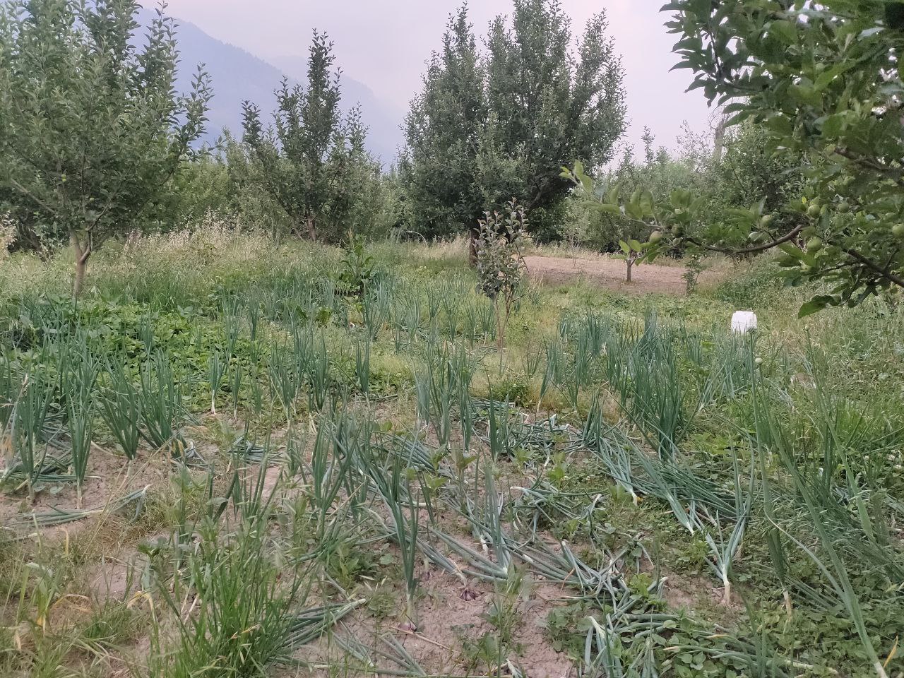 IMAGE 2022-05-16 12:49:49.jpg