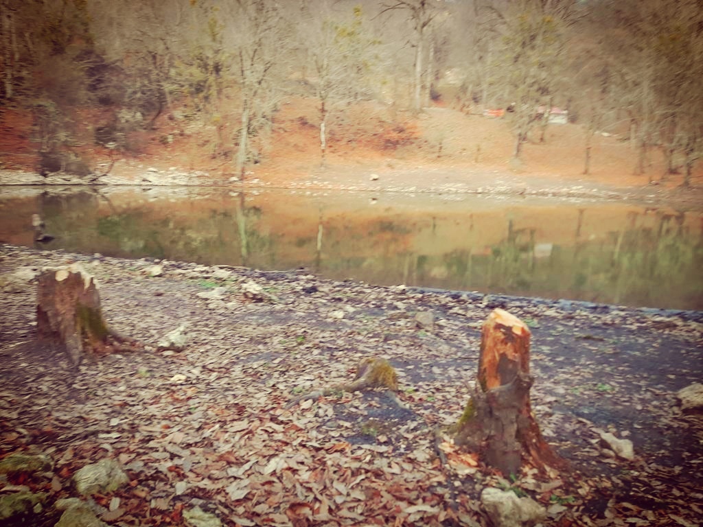 20230206_154328_edit_478176686065054.jpg