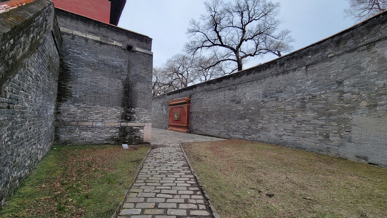 20221119_125120.jpg