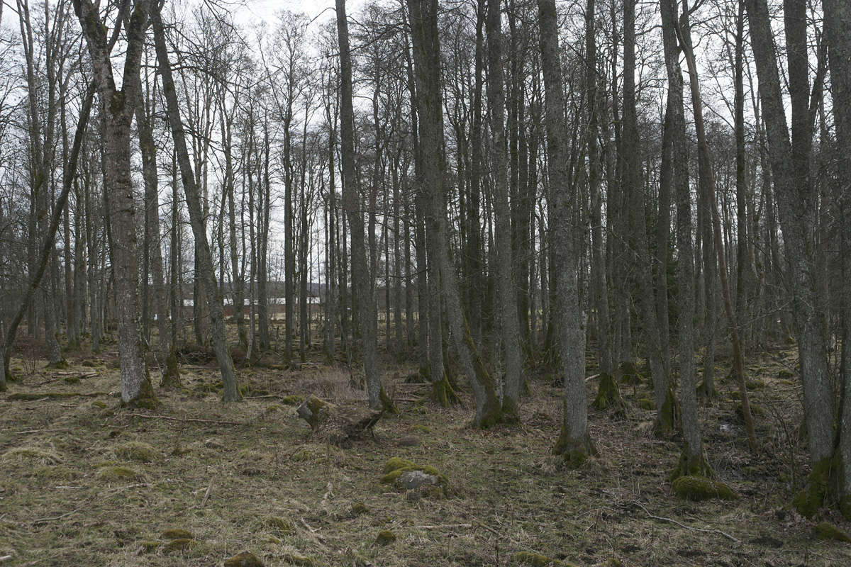 _SAM0458.JPG