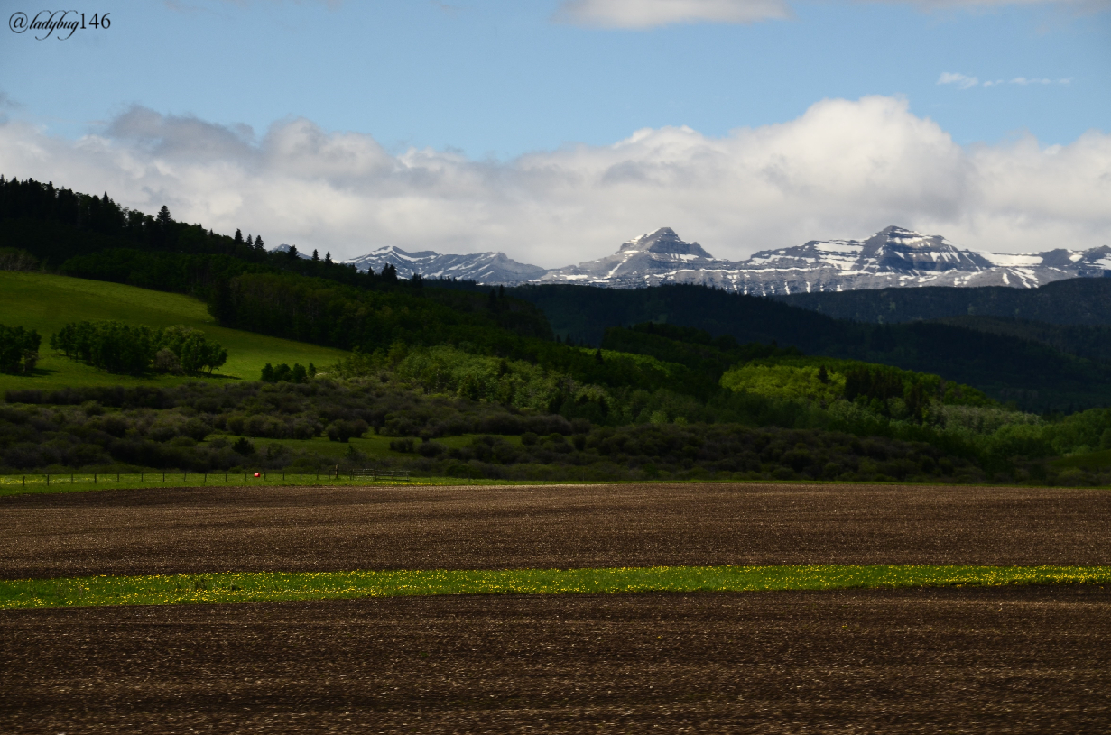 turner valley (2).jpg