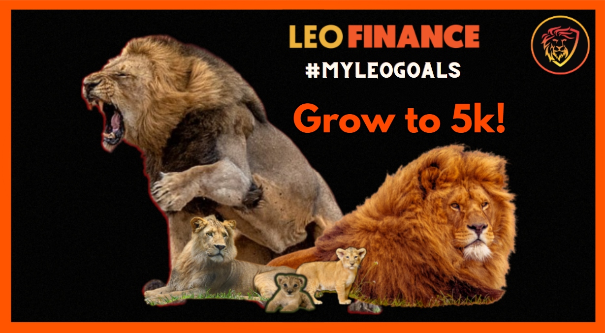 my-leo-goals-for-2023-let-s-get-leo-serious