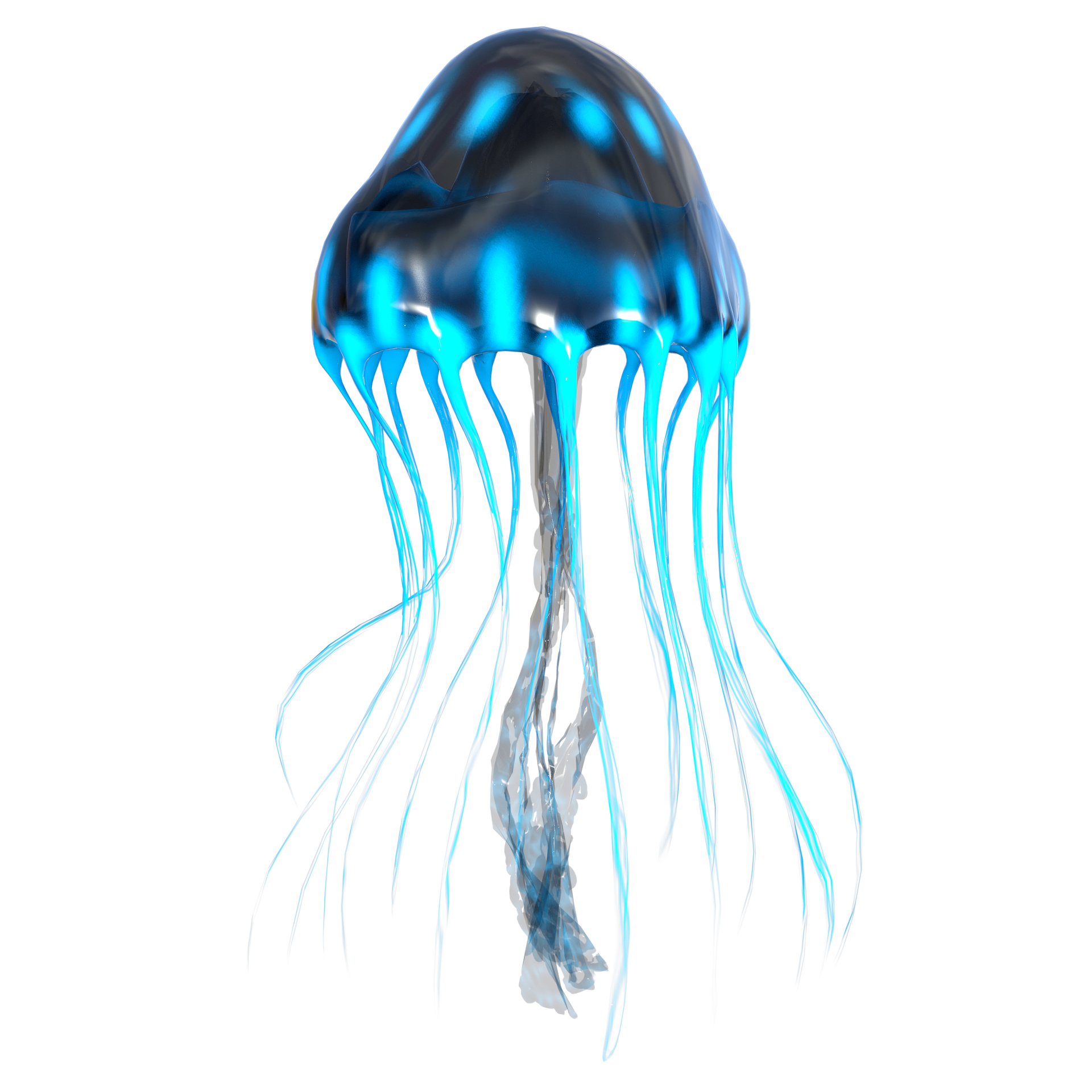jellyfish-6952877_1920.png