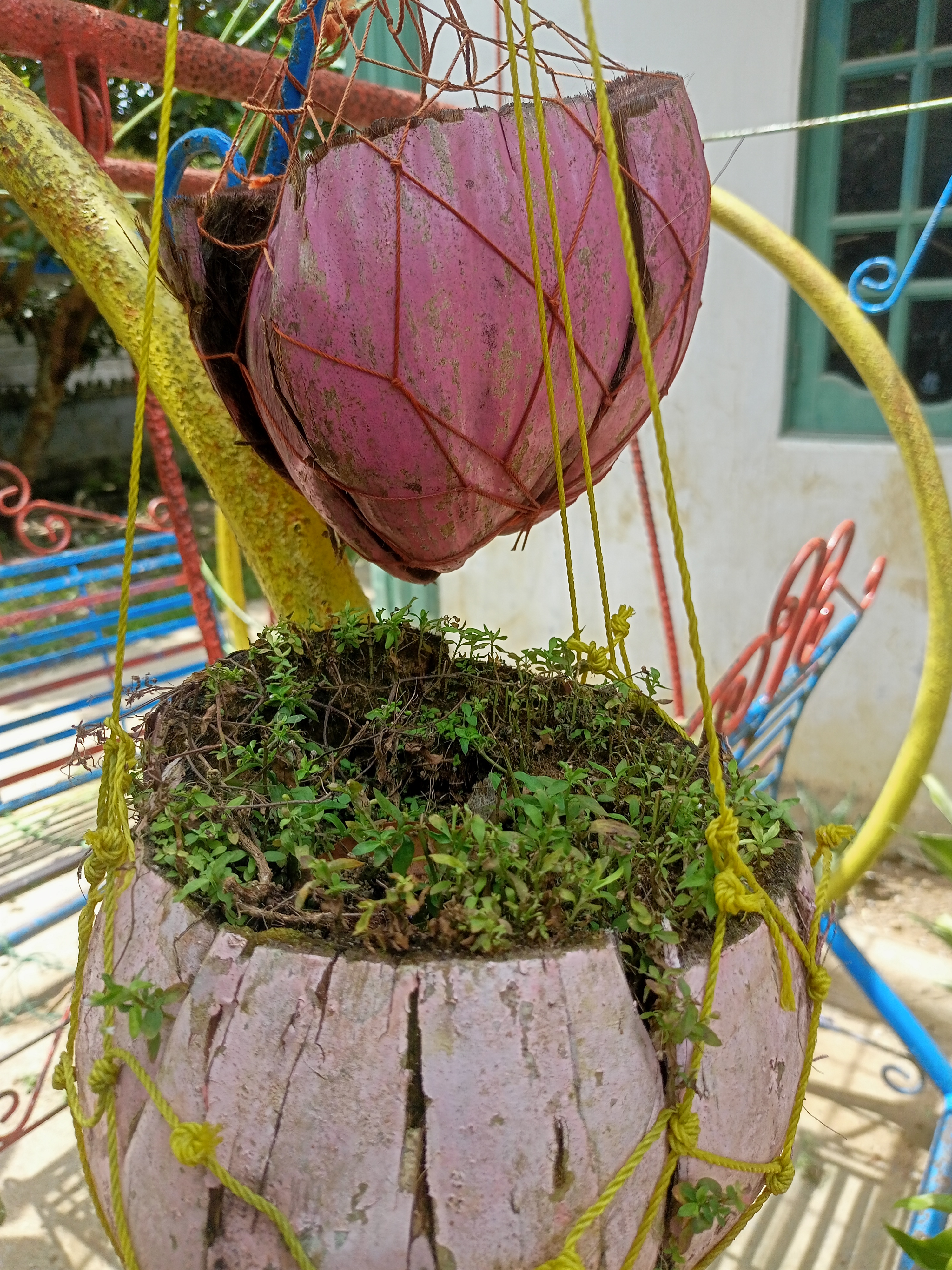 IMG20220206122718.jpg