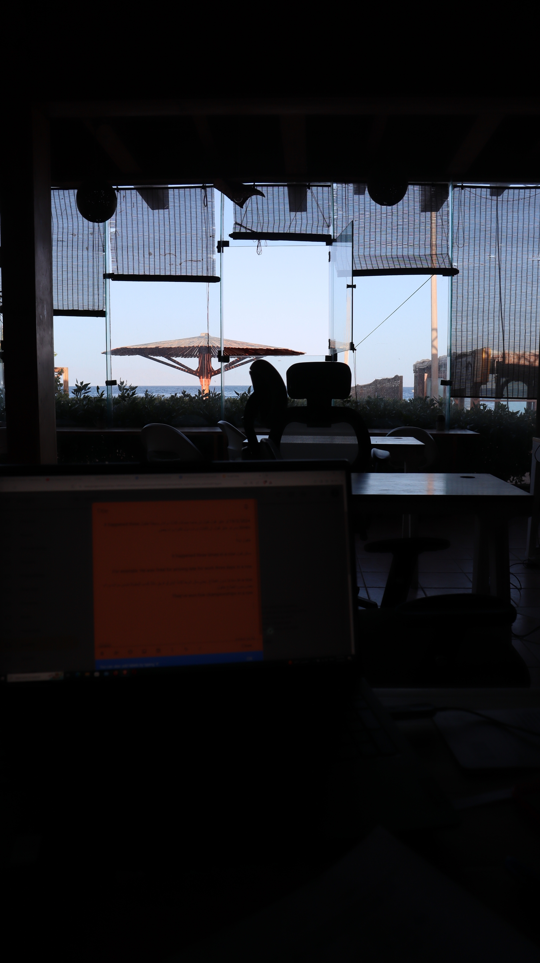 IMG_9969_copy_1891x3368.jpg