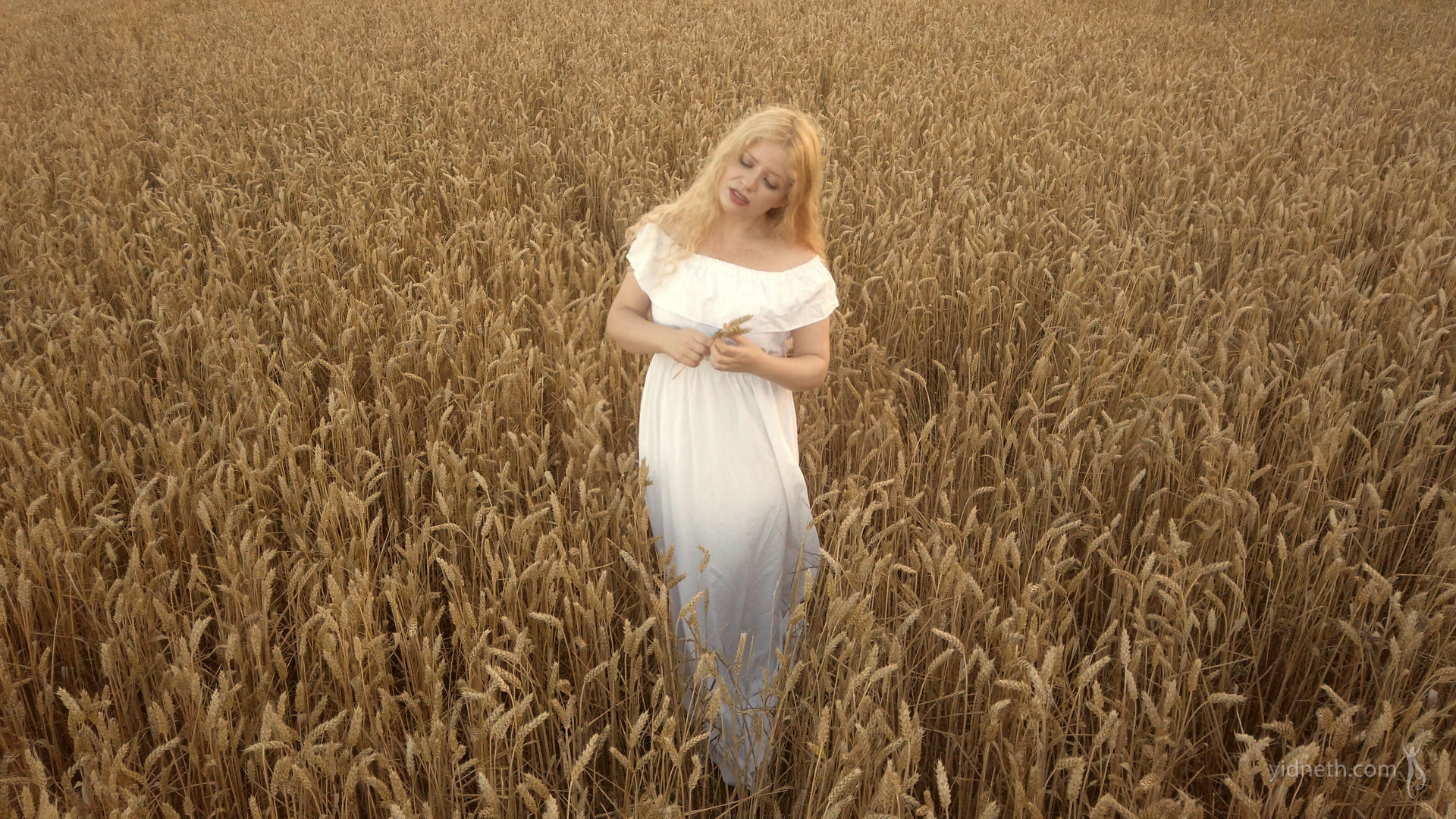 Priscilla Hernandez_fields of gold (2).jpg