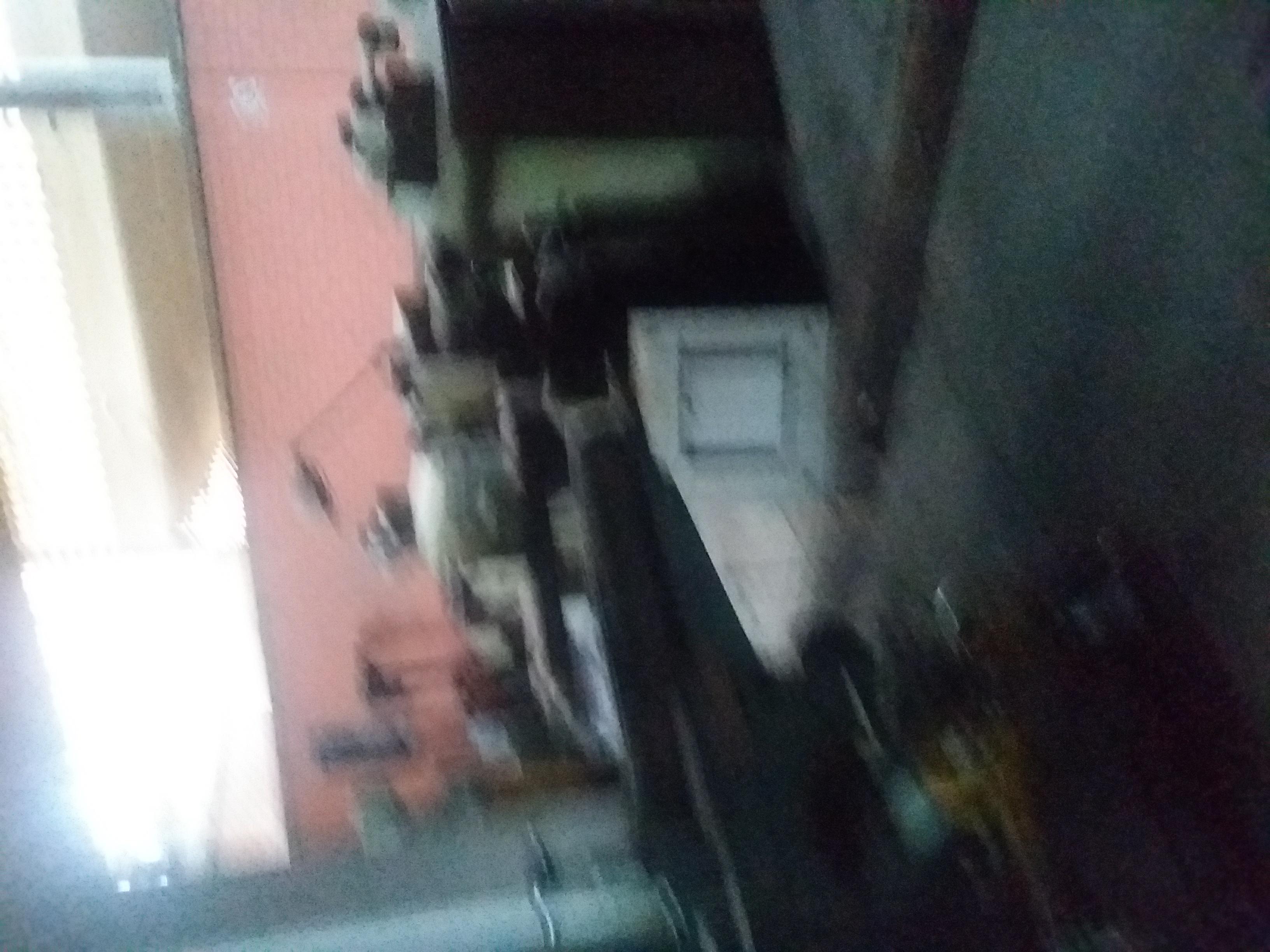 20220310_105137.jpg