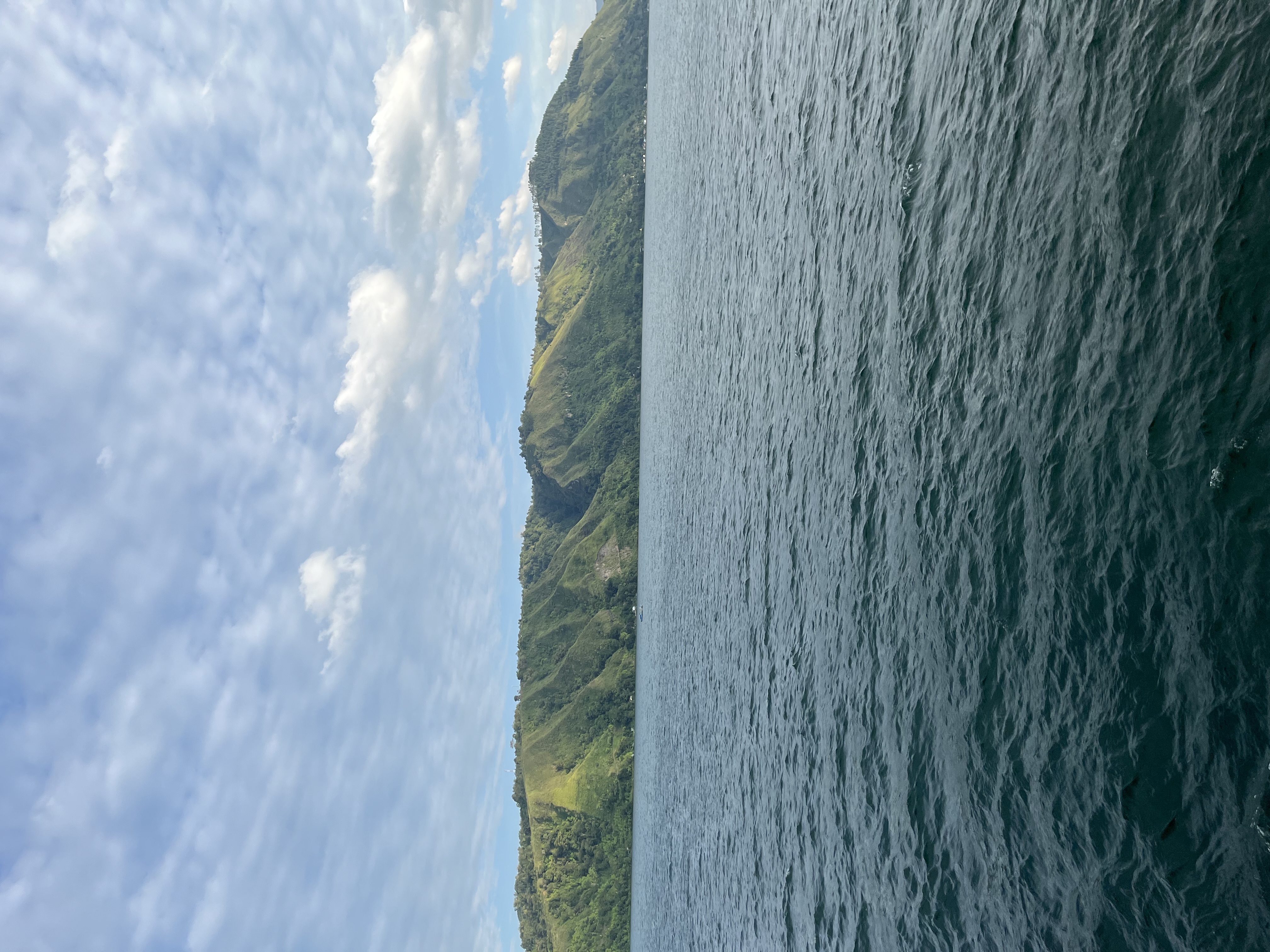 IMG_1139.jpeg