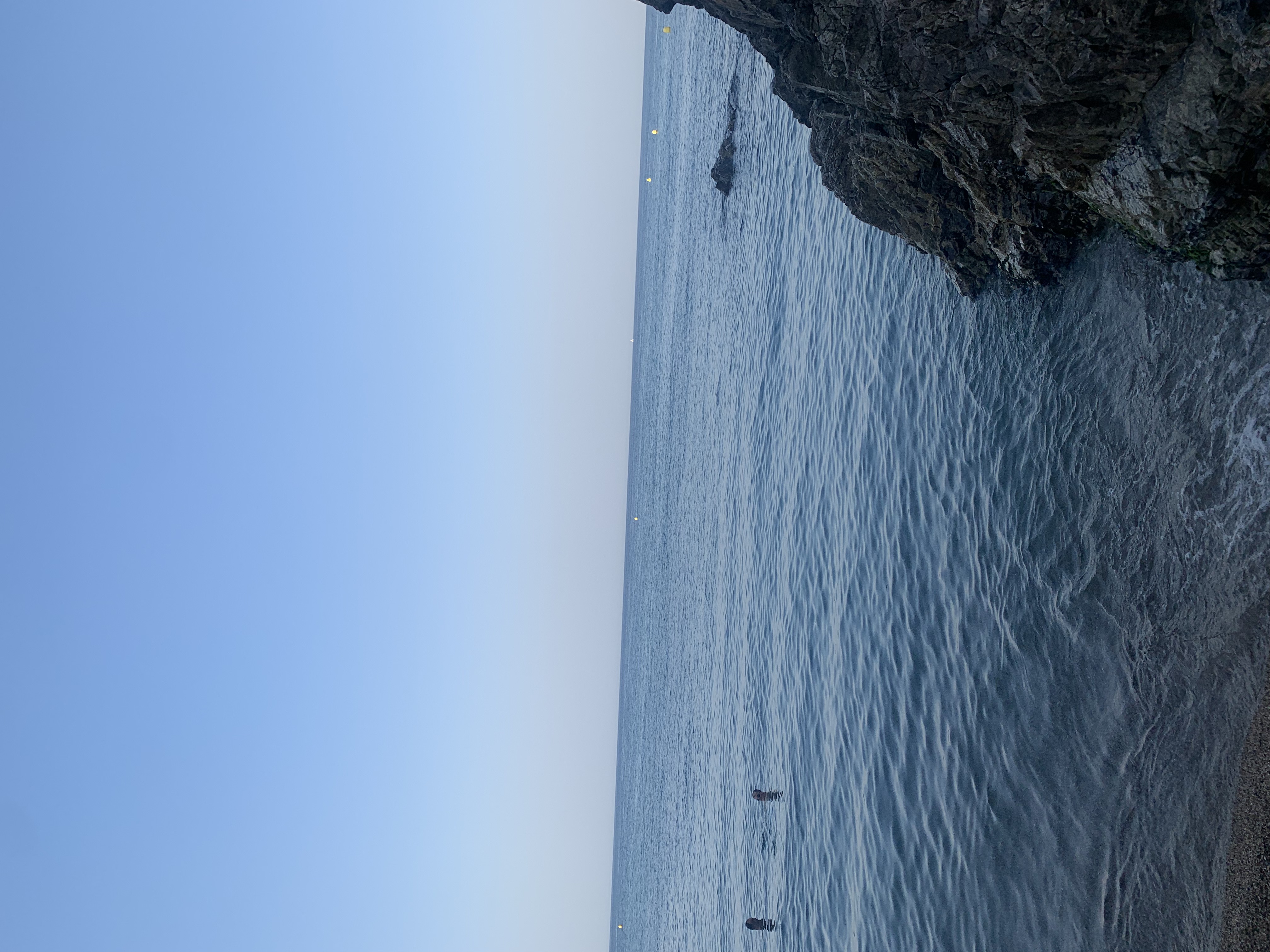 IMG_2010.jpeg