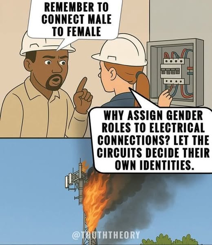 original-B3CEFA5C-7C30-414C-A4C3-DA063985EF1E.jpeg