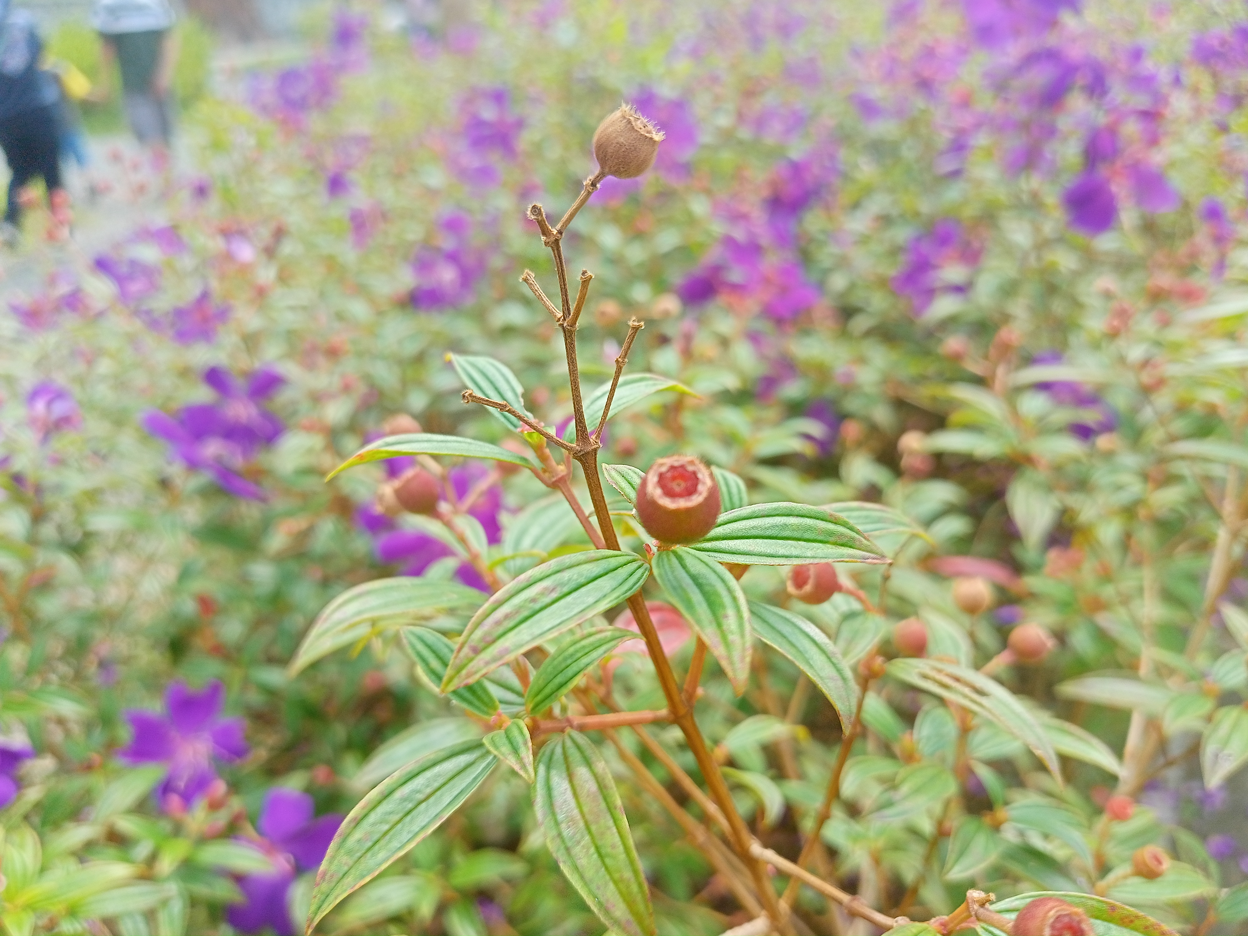 IMG20250504104105.jpg