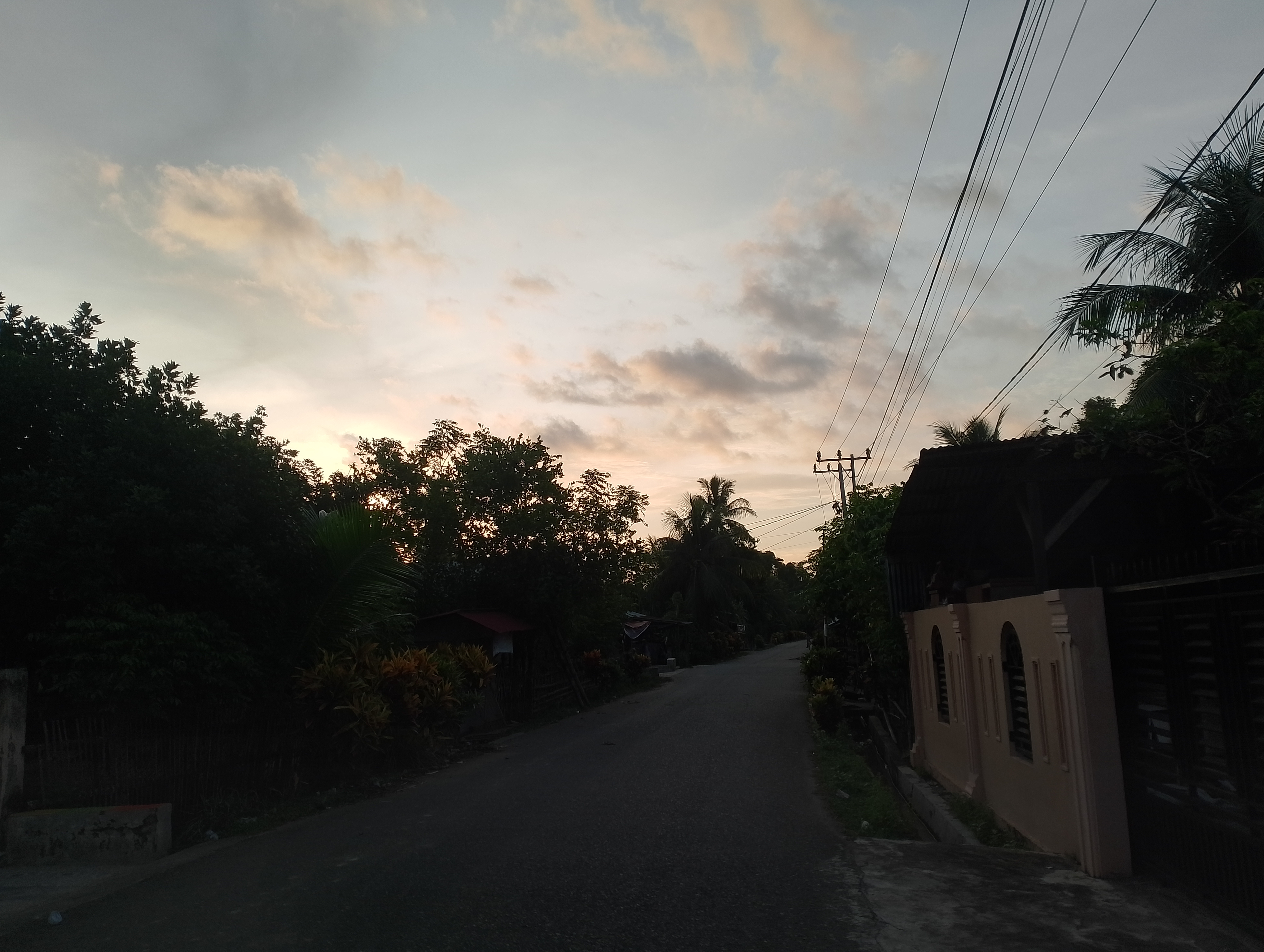IMG_20250713_182948.jpg