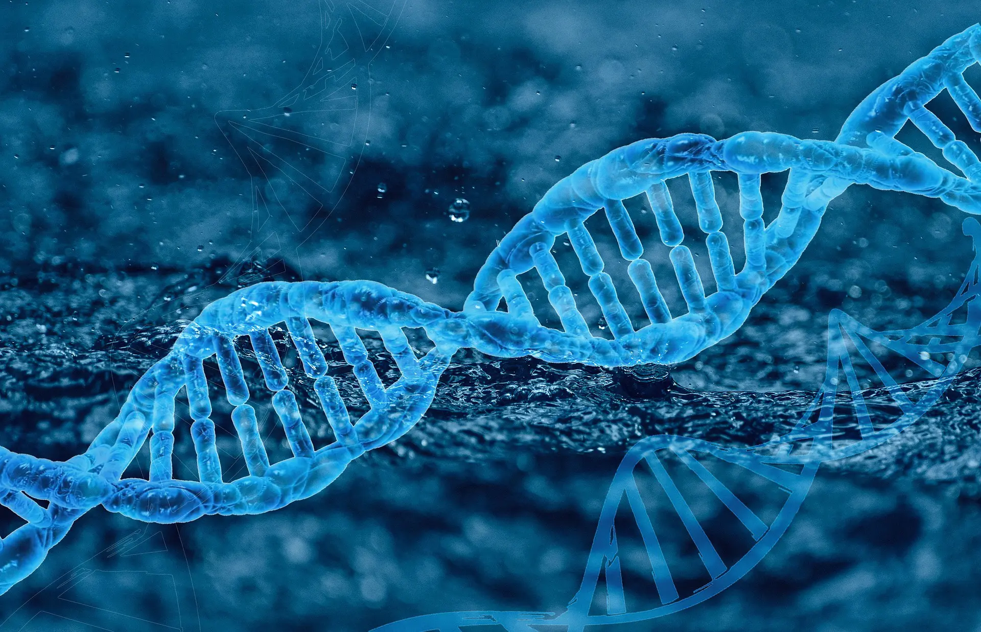 dna5695421_1920.jpg.webp