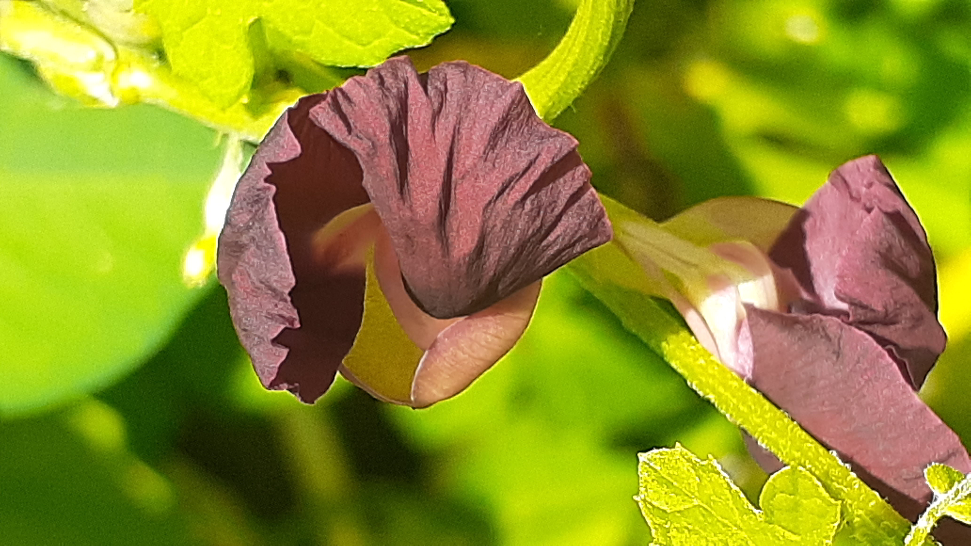20220818_104122.jpg