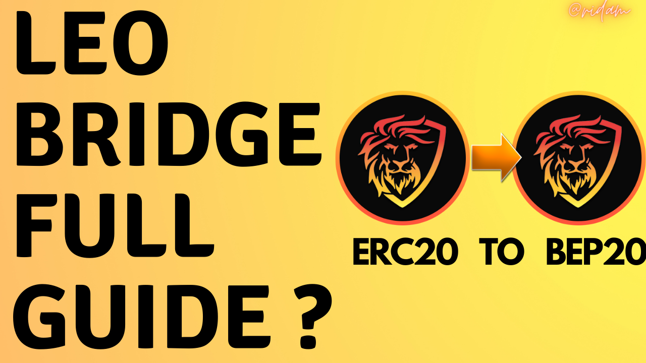 LEO BRIDGE GUIDE.png