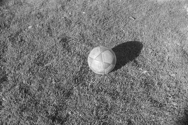 DSCF3677.JPG