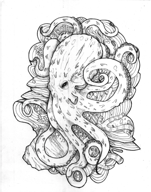 pulpo05.jpg