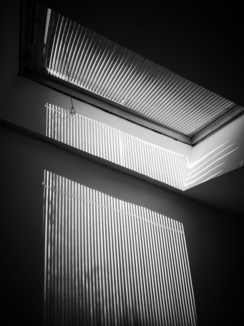 20250613_175832.jpg